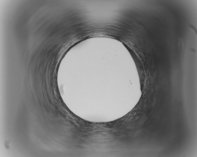 X0000099530289200806131133