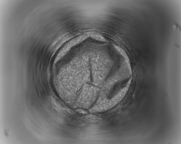 X0000099530290200806131133