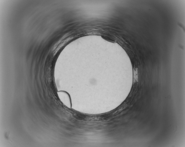 X0000099530291200806131133