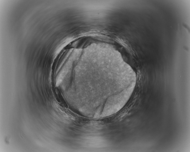 X0000099530292200806131133