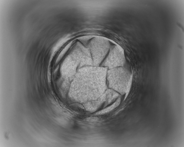 X0000099530294200806131133