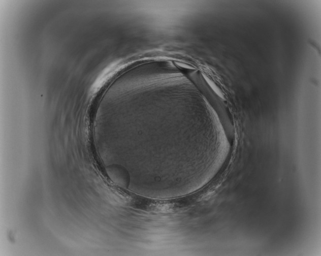 X0000099530295200806131133