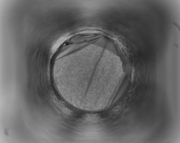 X0000099530296200806131133