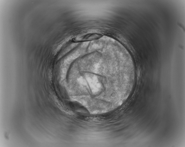 X0000099530297200806131133