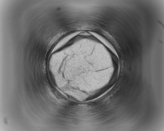 X0000099530298200806131133