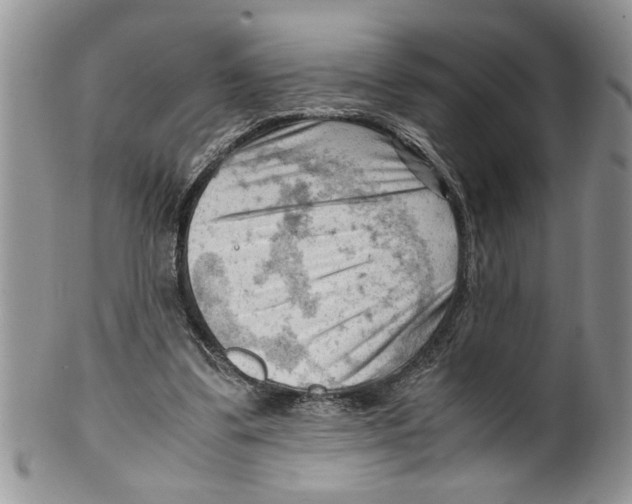 X0000099530299200806131133