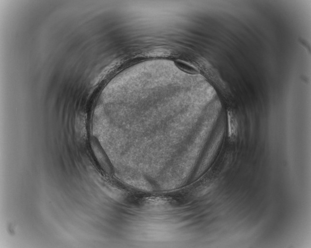 X0000099530300200806131133