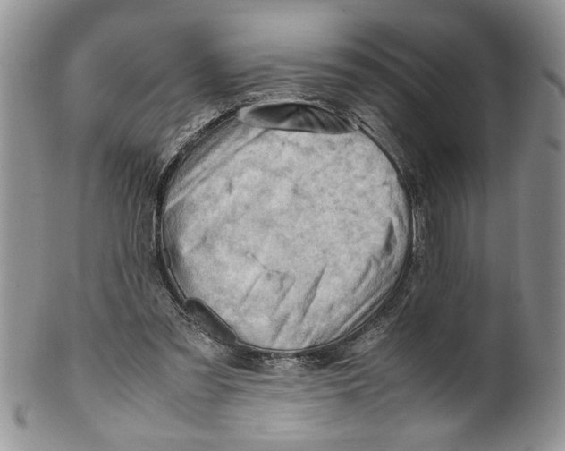 X0000099530301200806131133