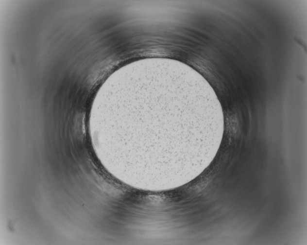 X0000099530302200806131133