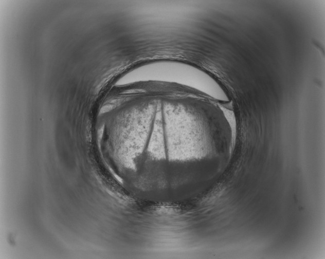 X0000099530303200806131133