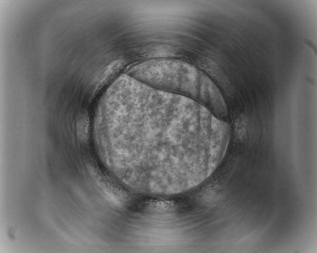 X0000099530304200806131133