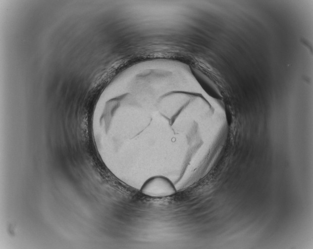 X0000099530306200806131133