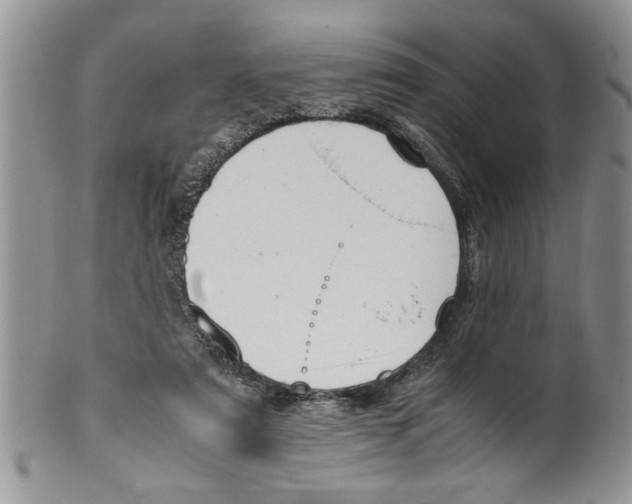 X0000099530307200806131133