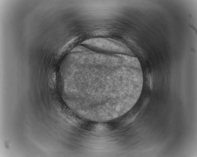 X0000099530308200806131133