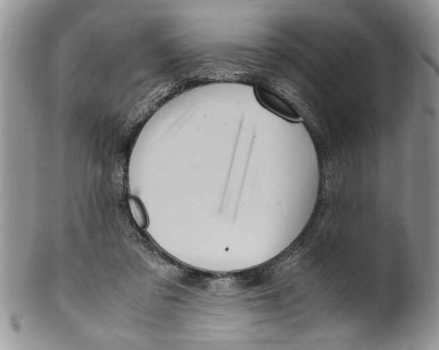 X0000099530309200806131133