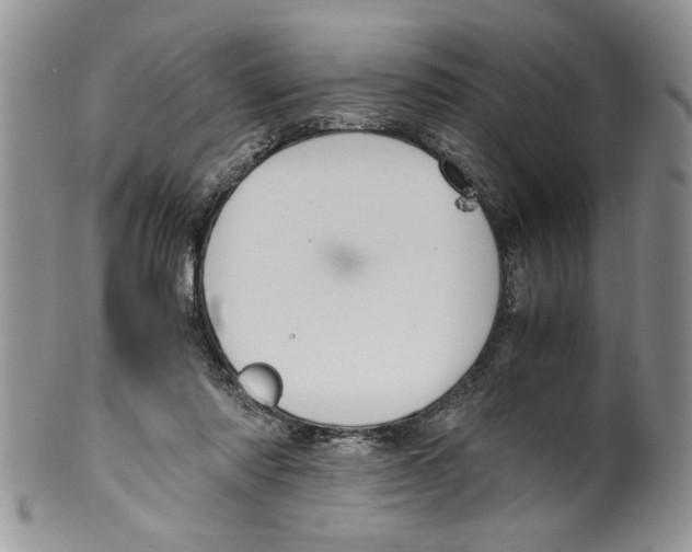 X0000099530310200806131133