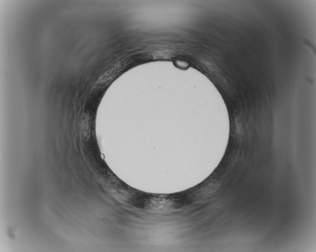 X0000099530311200806131133