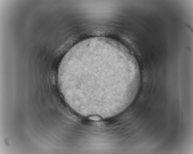 X0000099530313200806131133