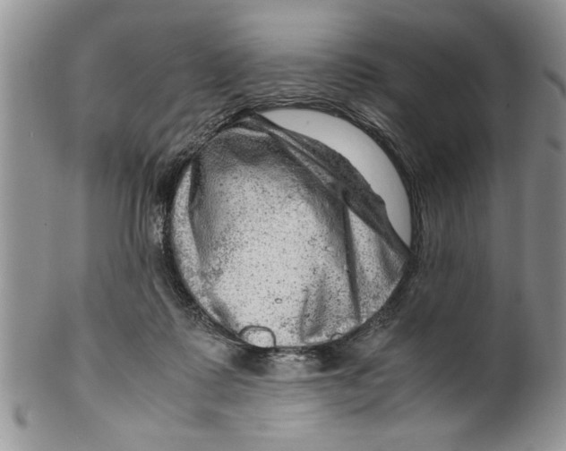 X0000099530315200806131133