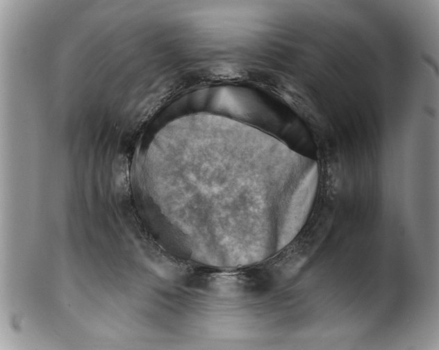 X0000099530320200806131133