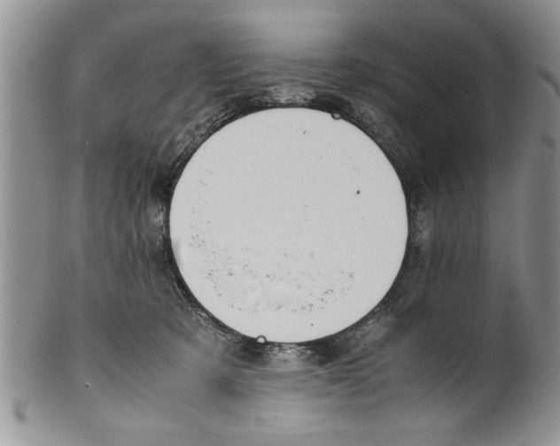 X0000099530321200806131133