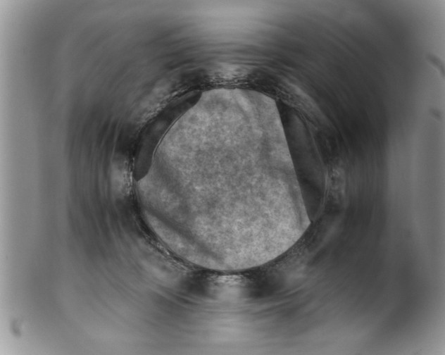 X0000099530324200806131133