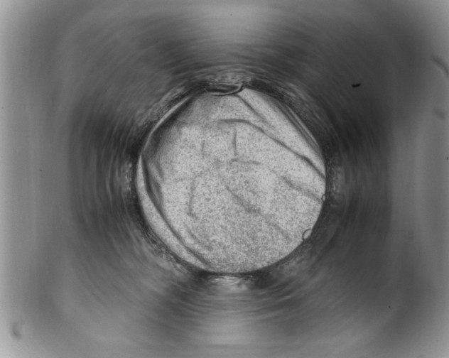 X0000099530326200806131133