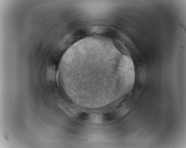 X0000099530328200806131133