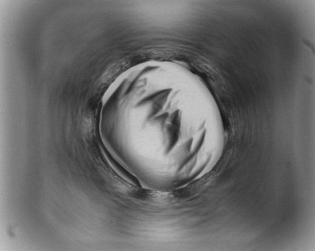 X0000099530333200806131132