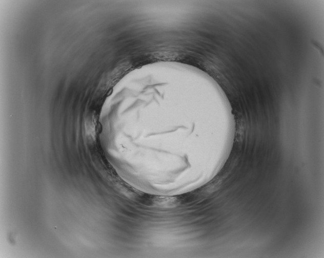 X0000099530334200806131132