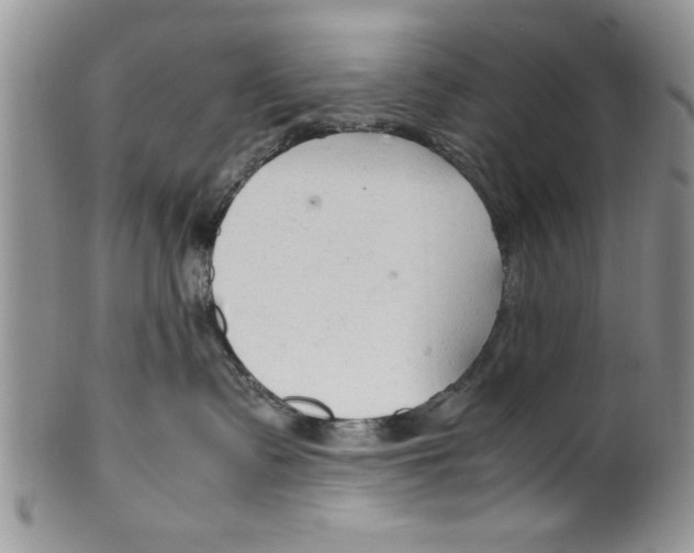 X0000099530335200806131132