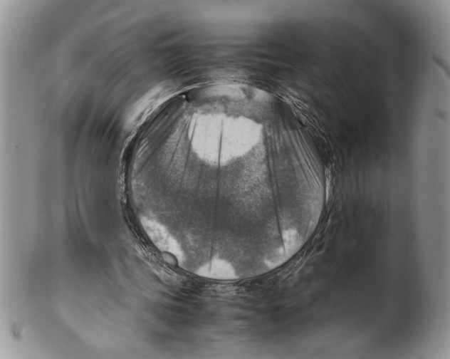 X0000099530339200806131132