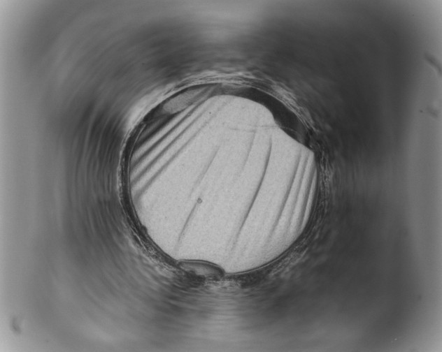 X0000099530340200806131132