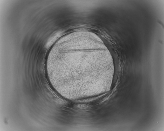 X0000099530341200806131132