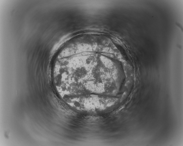 X0000099530343200806131132