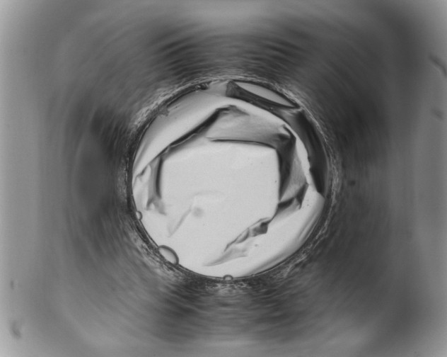 X0000099530345200806131132