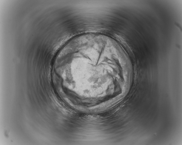 X0000099530346200806131132