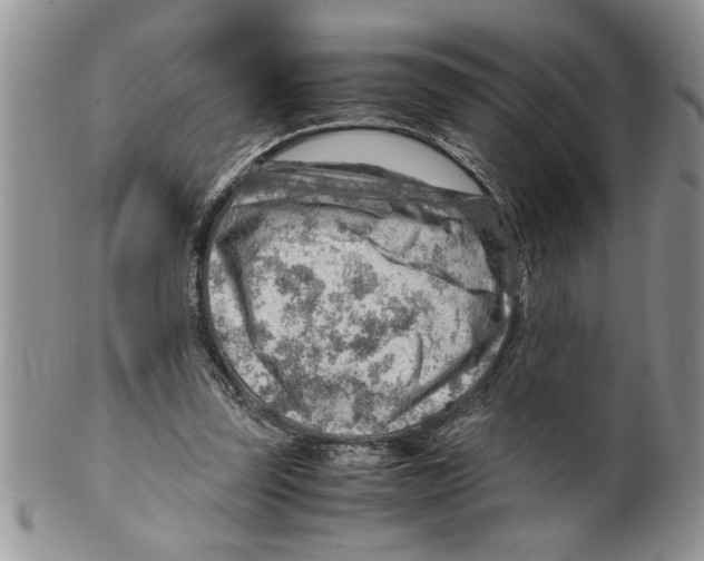 X0000099530347200806131132