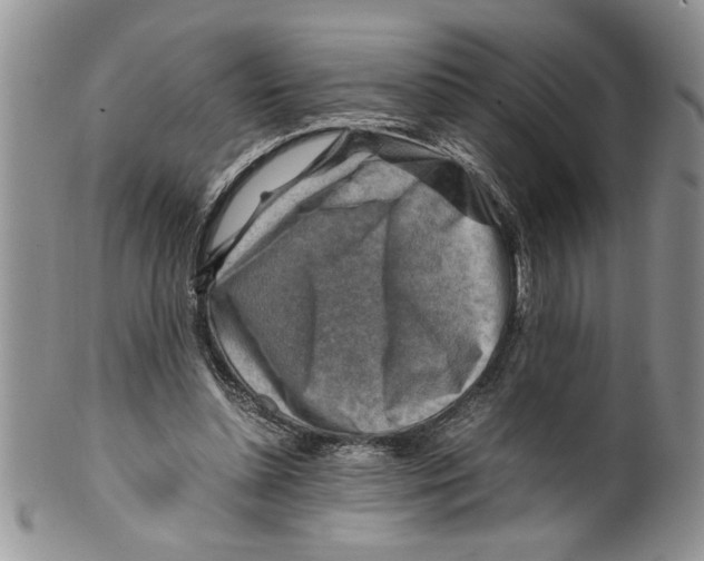 X0000099530348200806131132