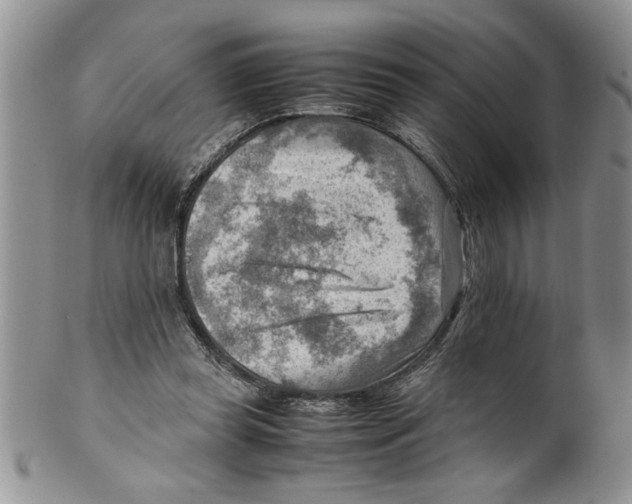 X0000099530349200806131132