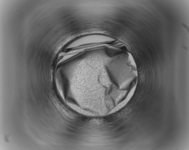 X0000099530350200806131132