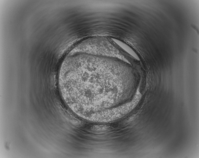 X0000099530351200806131132