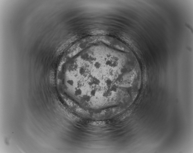 X0000099530353200806131132