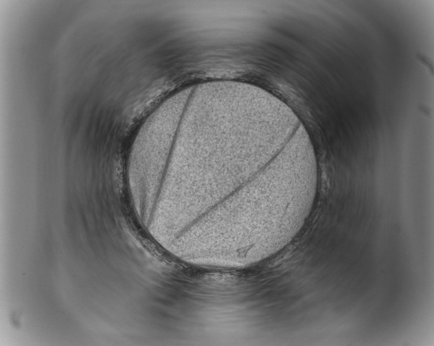 X0000099530354200806131132