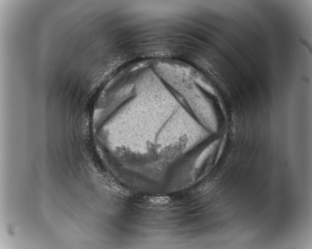 X0000099530355200806131132