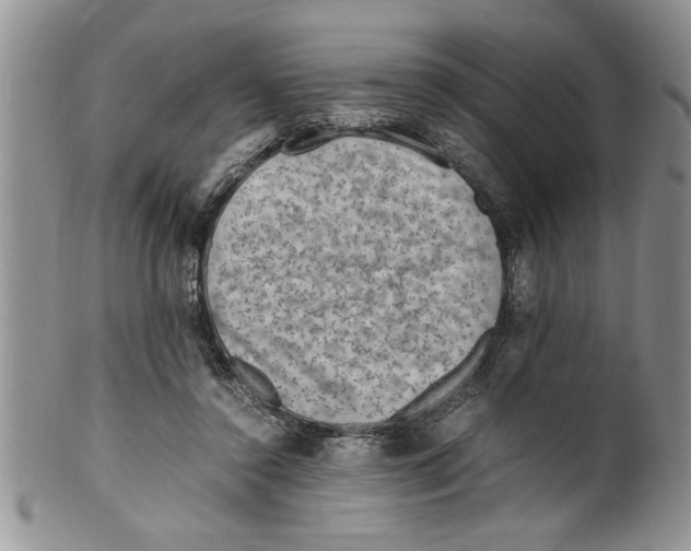 X0000099530356200806131132