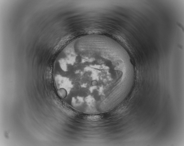 X0000099530357200806131132