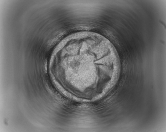 X0000099530358200806131132