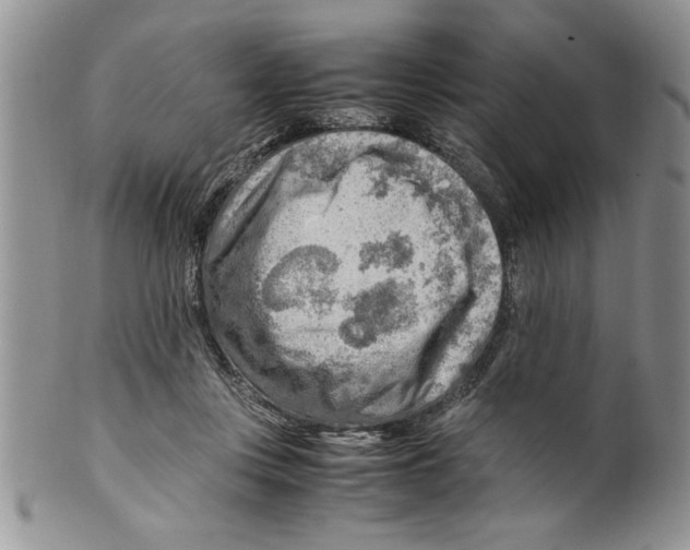 X0000099530359200806131132