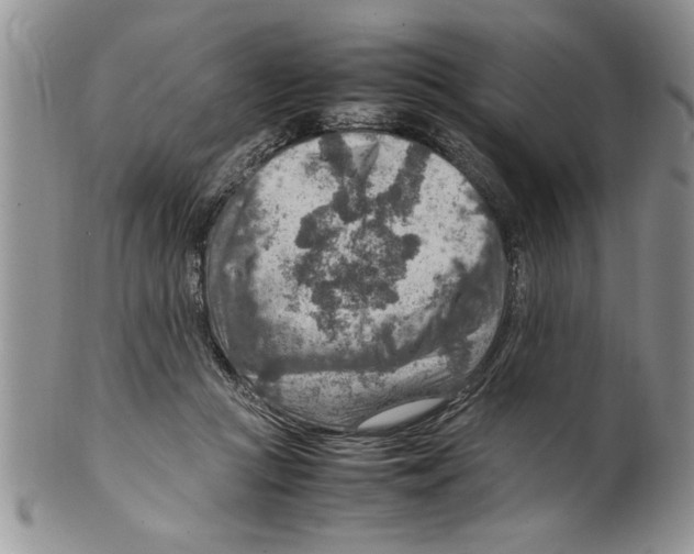 X0000099530361200806131132